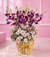 Orchid Whisper Elegance