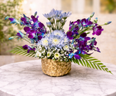 Royal Orchid Bliss