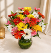 Sunburst Daisy Delight
