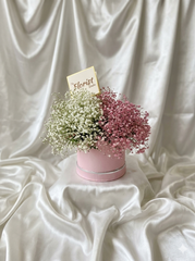 Blush Baby’s Breath Dual Tone Box Arrangement