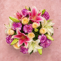 Sweetheart Bloom