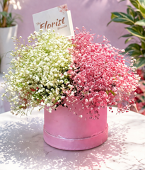Blush Whisper Baby’s Breath Box