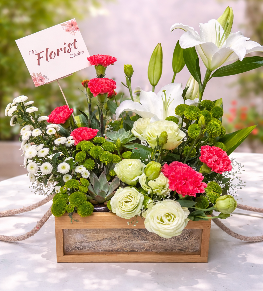 Garden Harmony Luxe Crate