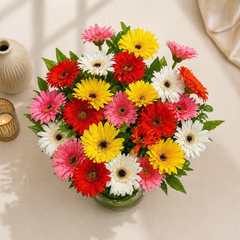 Sunburst Daisy Delight