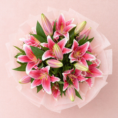 Pink Whisper Lily Bunch