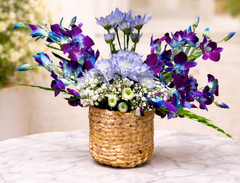 Royal Orchid Bliss
