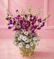 Orchid Whisper Elegance
